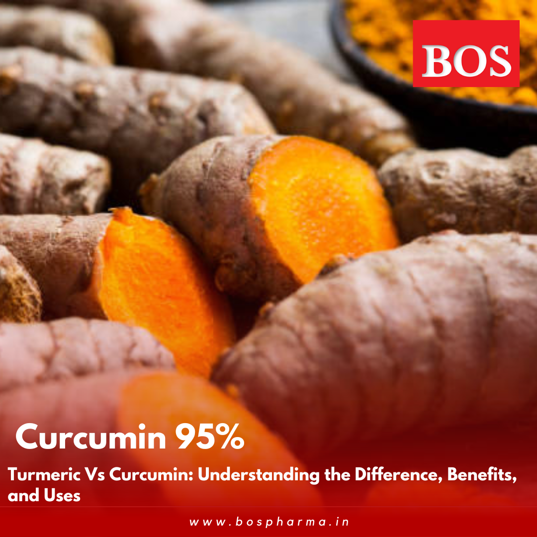 Curcumin 95% Largest Manufacturer in India