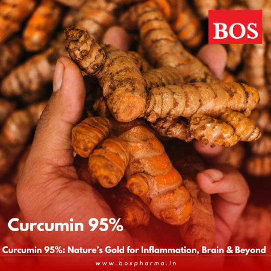 Curcumin 95% Largest Manufacturer in India